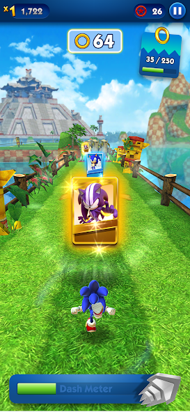 Sonic Dash - Endless Running Mod Screenshot4