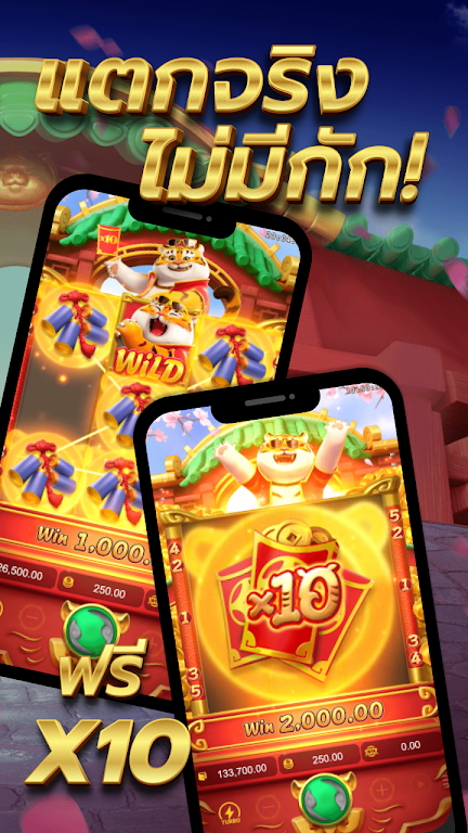 Fortune Tiger Screenshot3