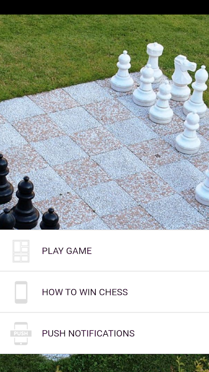 Chess Game App - Learn To Play Chess And Win Chess Screenshot2