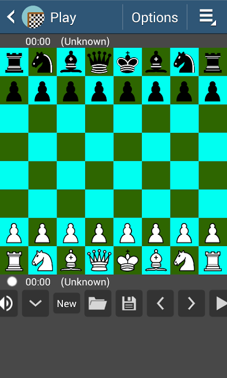 Chess 38 Screenshot1