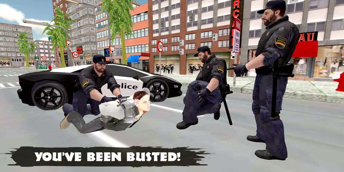 Police Chase VS Mafia Gang 3D Screenshot2