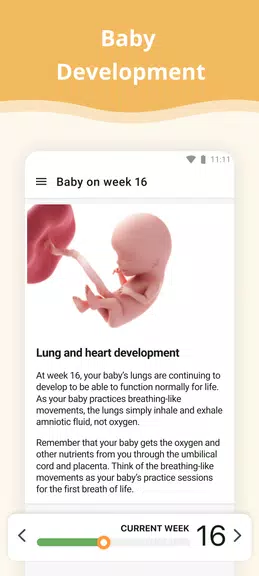 Pregnancy App Screenshot2