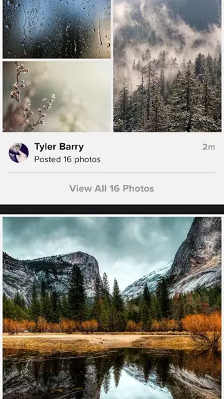 Flickr Screenshot3