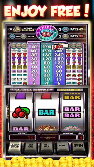 Triple Double Diamond Slots Screenshot4