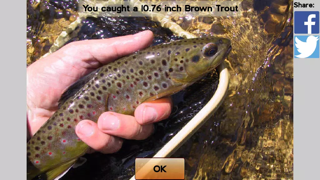 Fly Fishing Simulator HD Screenshot2