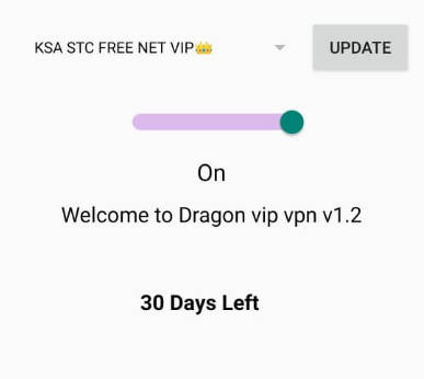 DRAGON VIP VPN Screenshot2