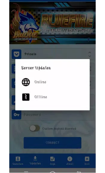 BLUEFIRE VPN (NEW) Screenshot4