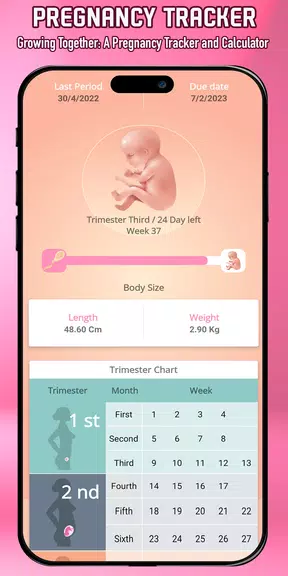 Pregnancy Tracker & calculator Screenshot1