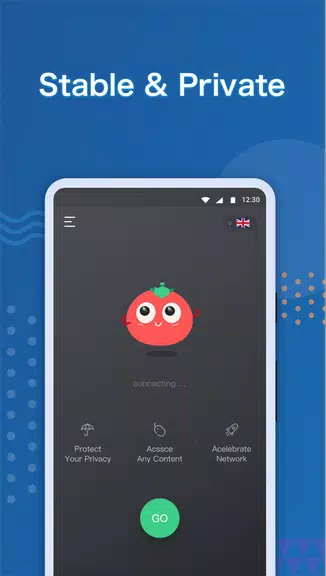 VPN Tomato Pro:  Fast & Stable & Unblock VPN Proxy Screenshot4