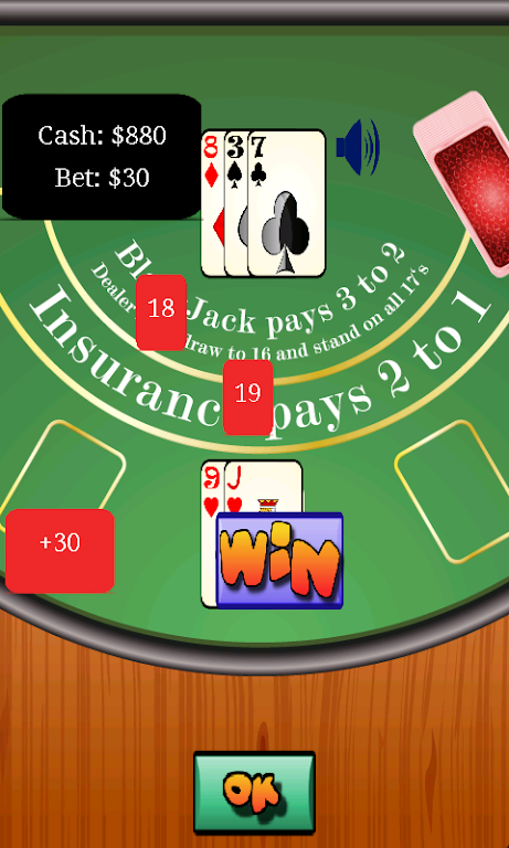 Black jack 21 Screenshot1