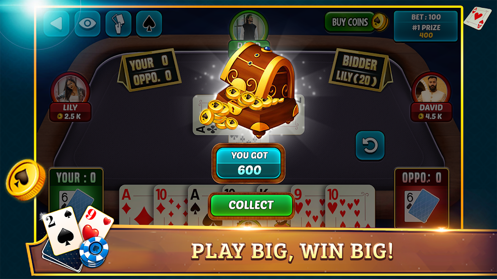 29 Card Game Plus Screenshot3