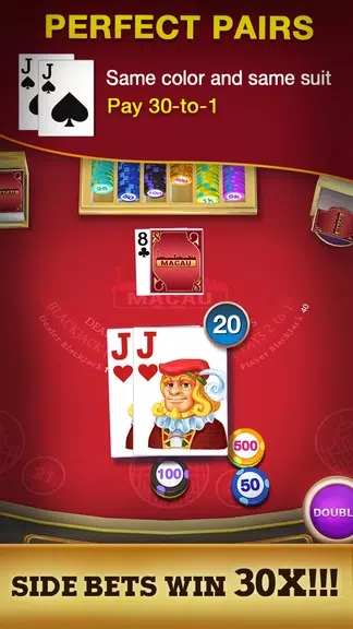 Blackjack 21 - Black Jack Game Screenshot3