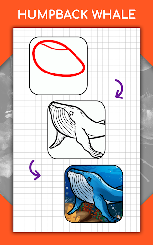 How to draw animals by steps Screenshot24