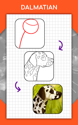 How to draw animals by steps Screenshot21