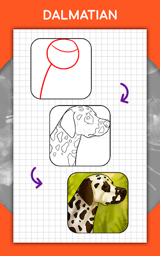 How to draw animals by steps Screenshot13