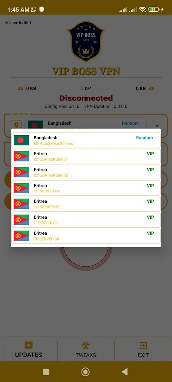 VIP BOSS VPN-Fast secure VPN Screenshot2