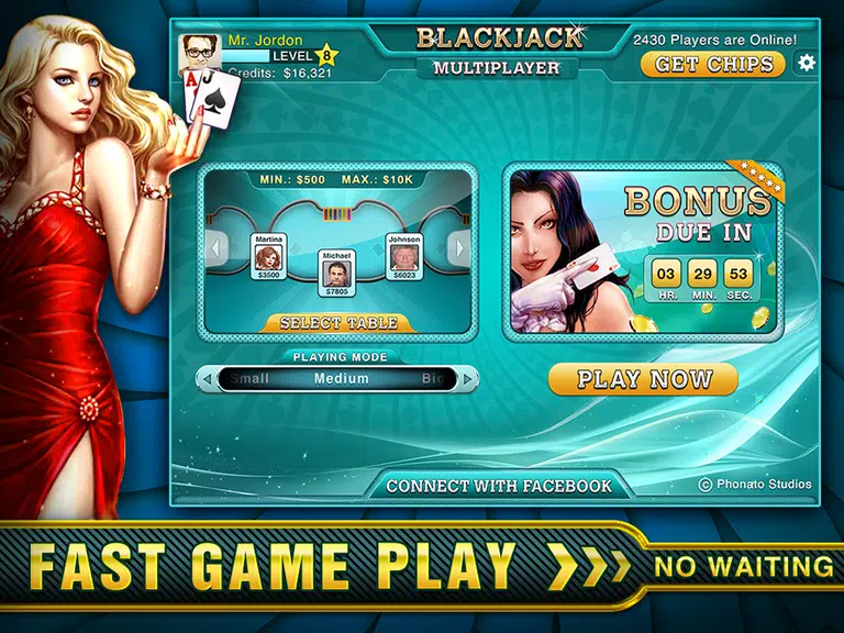 BlackJack Multiplayer Vegas! Screenshot2