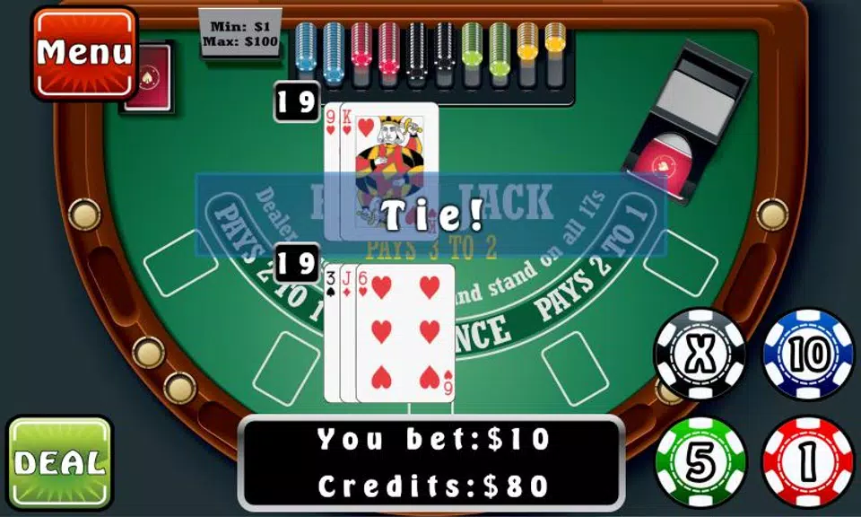 Blackjack Fever Screenshot4