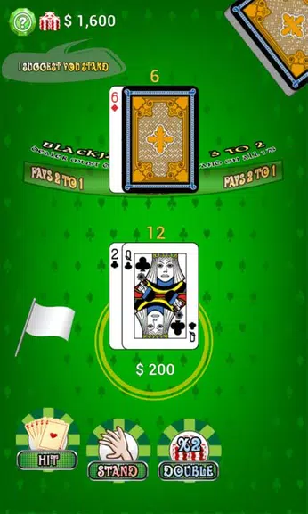 Blackjack Offline Screenshot3