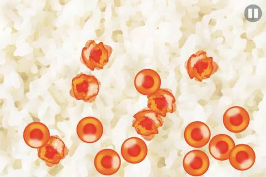 Salmon Roe Screenshot2