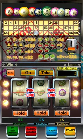 bingo slot machine free Screenshot1