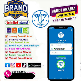 TANGAIL BRAND VPN - Secure VPN Screenshot2