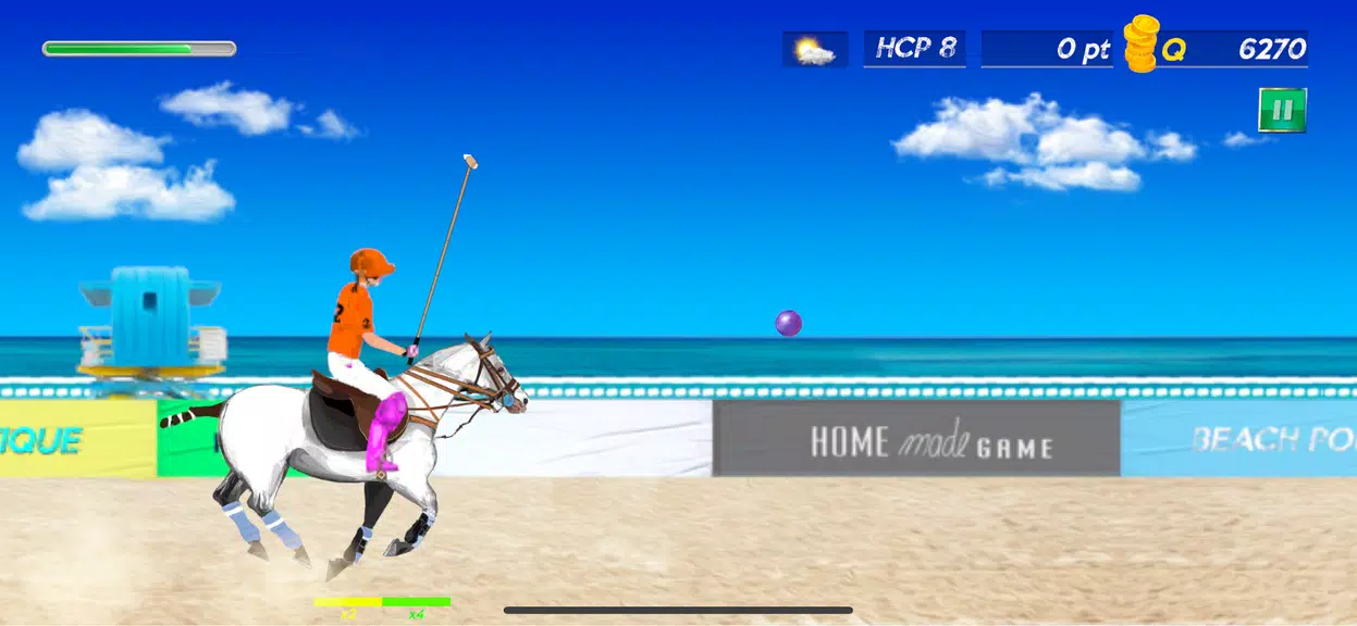 SnB Polo Pro Screenshot2