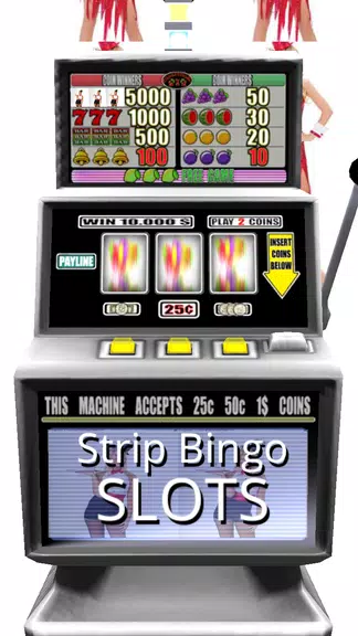 3D Strip Bingo Slots - Free Screenshot1