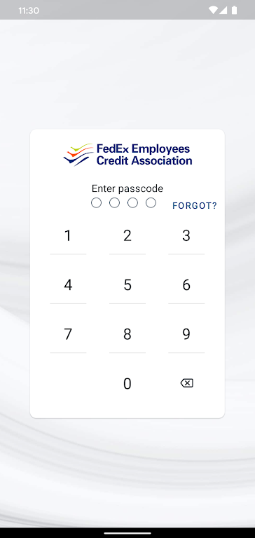 FedEx Employees Credit Association Screenshot1