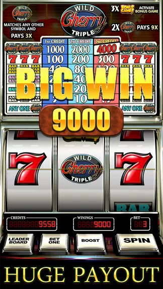 Wild Triple Cherry Slots Free Screenshot2