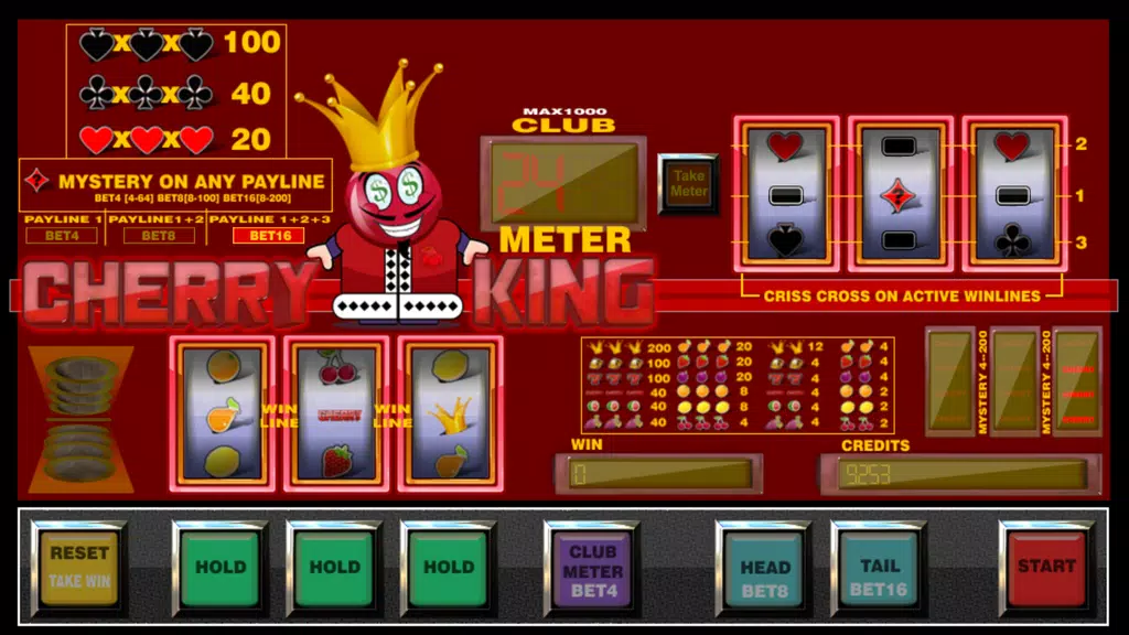 Cherry King slot machine Screenshot4