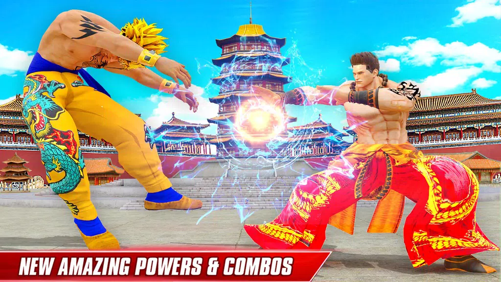 Karate Hero Kung Fu Fighting Screenshot2