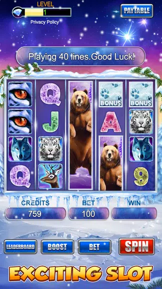 Slot Machine: Bear Slots Screenshot1