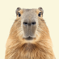 Capybara Wallpaper APK