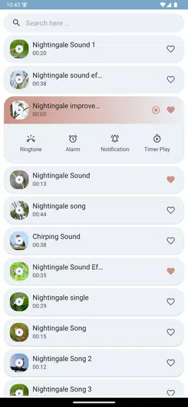 Nightingale Bird Sounds Screenshot4