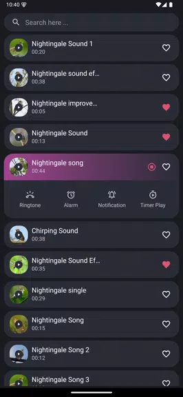 Nightingale Bird Sounds Screenshot2