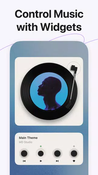 MD Vinyl - Music Player Widget Screenshot2