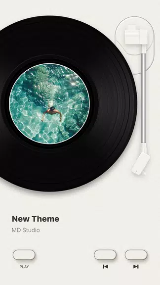 MD Vinyl - Music Player Widget Screenshot4