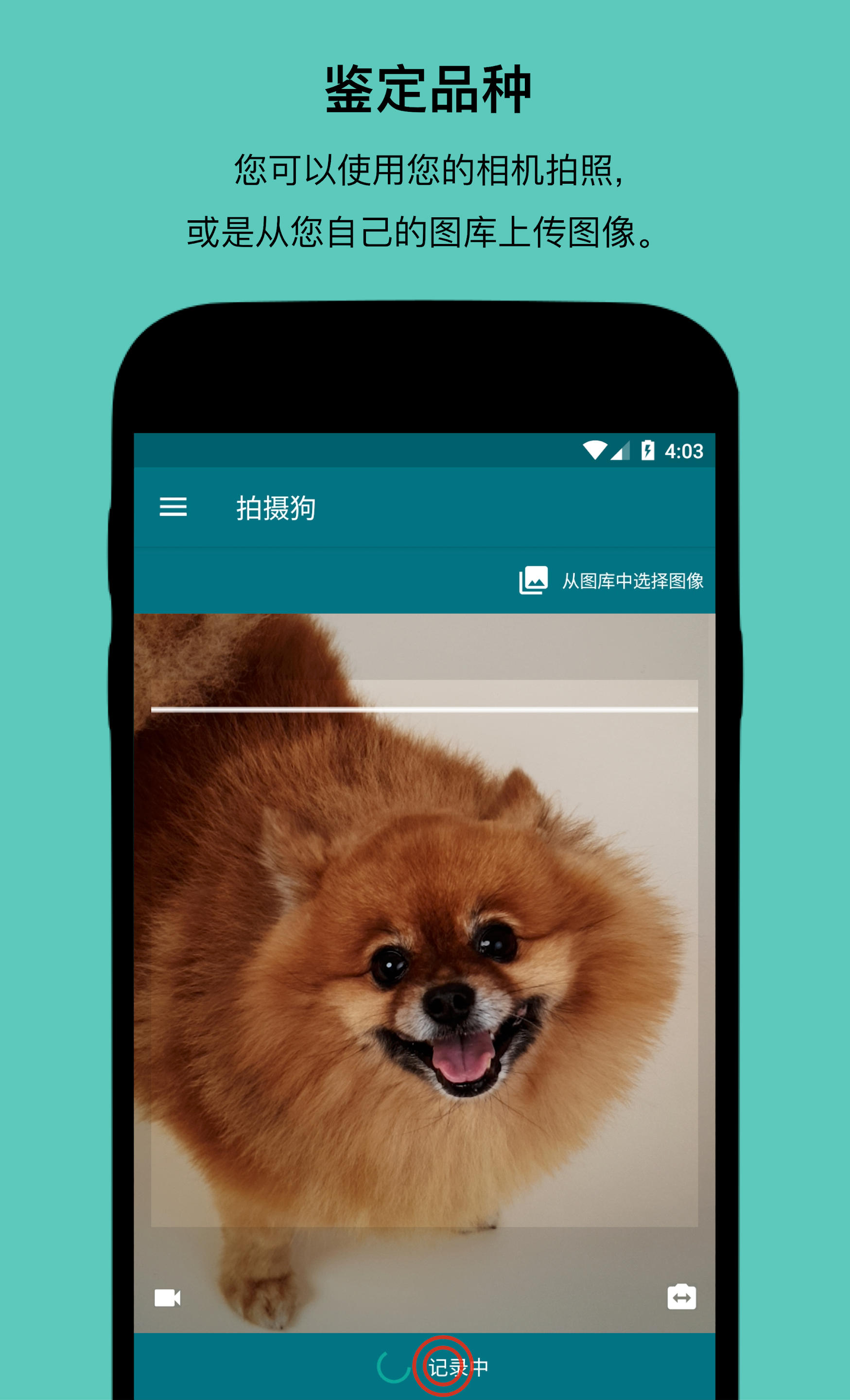 Dog Scanner Screenshot4