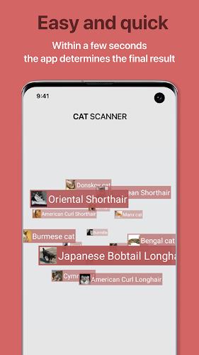 Cat Scanner Screenshot3