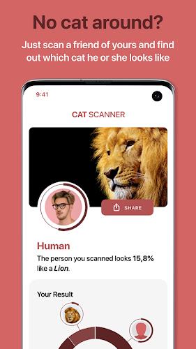 Cat Scanner Screenshot6