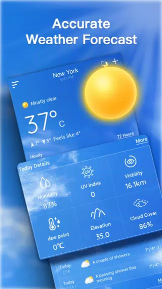 Live Weather Forecast Screenshot1