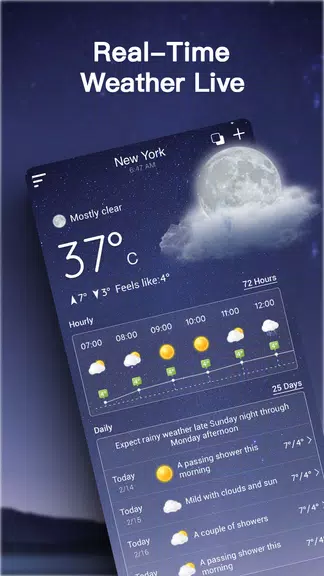 Live Weather Forecast Screenshot2