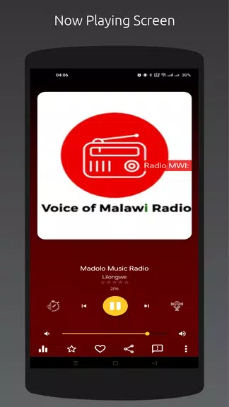 Radio MW: All Malawi Stations Screenshot4