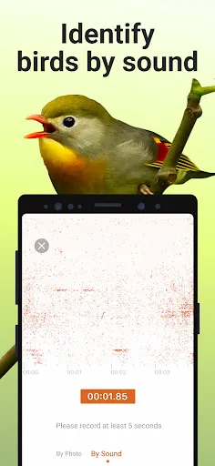 Picture Bird Screenshot4