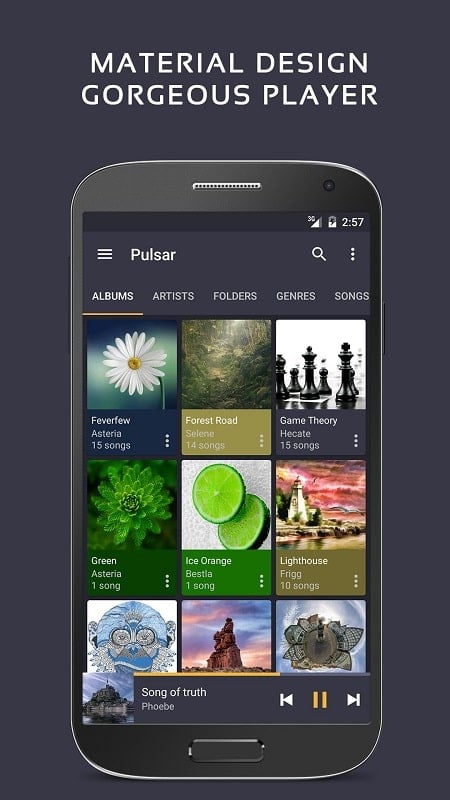 Pulsar Music Player Pro Screenshot1