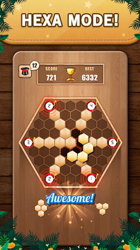 Wooden 100 Block Puzzle Game Screenshot2