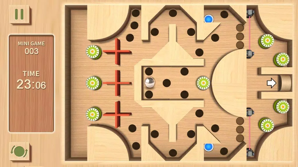 Maze Rolling Ball 3D Screenshot3