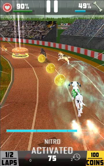 Dog racing games - dog game 3d Screenshot4