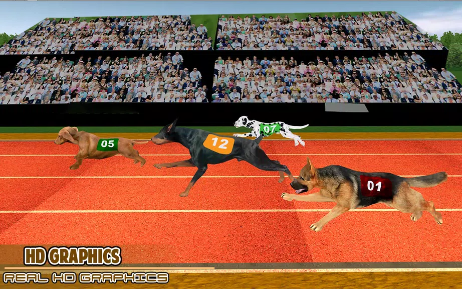 Dog racing games - dog game 3d Screenshot3